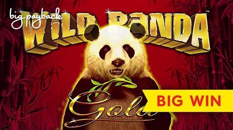 Wild Giant Panda 1xbet